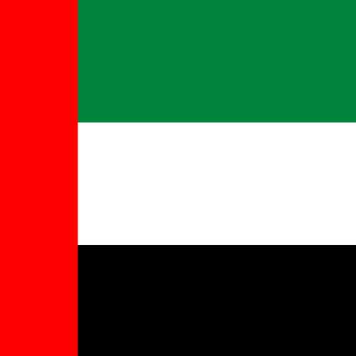 Dubai Flag image